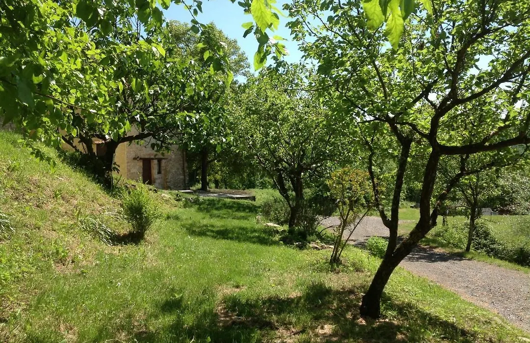 Agriturismo Il Picchio Verde-1
