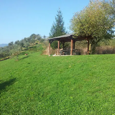 Agriturismo Il Picchio Verde-3